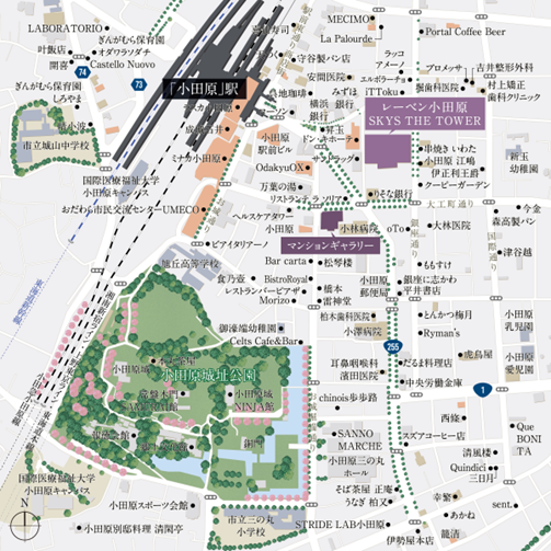 Local area map.png